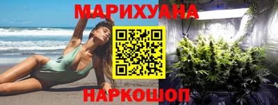 шишки Камышлов