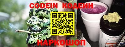 шишки Камышлов